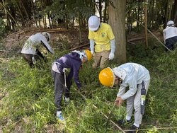 totorochikurin062211.jpg