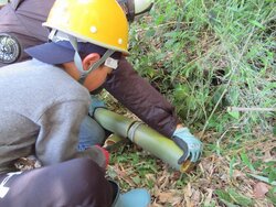 totorochikurin062212.jpg