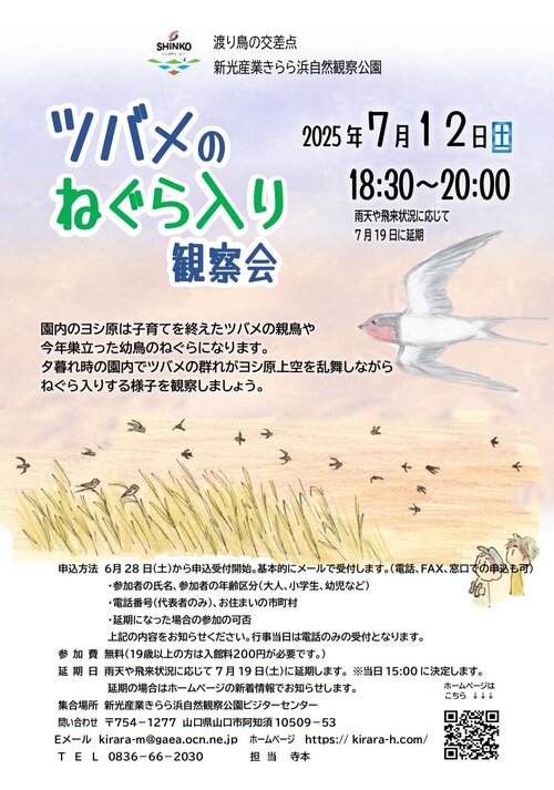 tubamenegura2025kirara.jpg