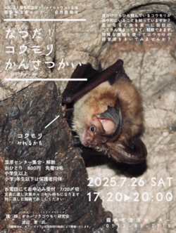 スクリーンショット 2025-07-17 110939.png