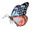 asagi.png
