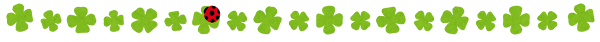 clover_bug.png