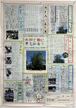 25-43-01.JPG
