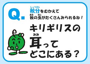 25_16syubun_page-0002.jpg