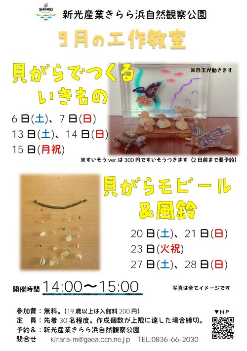 kousakukirara202509.jpg