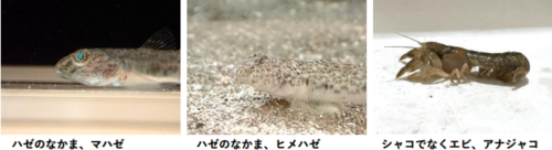 スクリーンショット 2025-10-02 152649.png