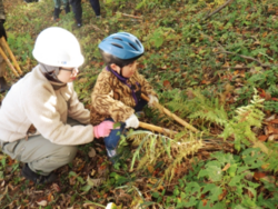 スクリーンショット 2025-10-29 134557.png