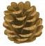 matsubokkuri.png