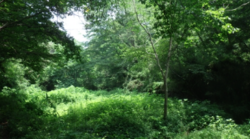 スクリーンショット 2025-11-06 101226.png