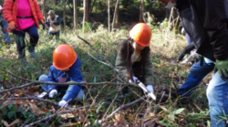 スクリーンショット 2025-11-06 102313.png