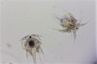 スクリーンショット 2025-11-05 164506.png