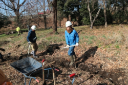 スクリーンショット 2025-12-25 162056.png