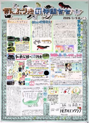 26-02-01env.jpg
