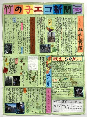 26-11-01.JPG
