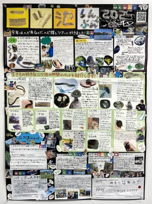26-14-01.JPG