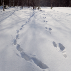 スクリーンショット 2026-02-12 162958.png