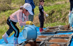 スクリーンショット 2026-03-24 153518.png