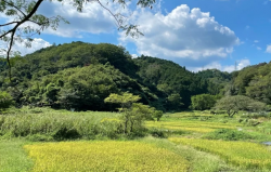 スクリーンショット 2026-03-24 103905.png