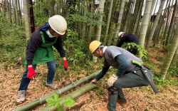 スクリーンショット 2026-03-25 151450.png