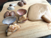 スクリーンショット 2026-03-18 153414.png