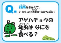 26_06kokuu_pages-to-jpg-0002.jpg