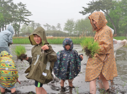 スクリーンショット 2026-04-16 162837.png