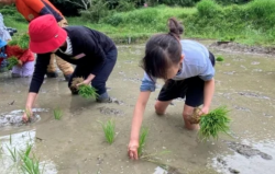 スクリーンショット 2026-04-16 101231.png