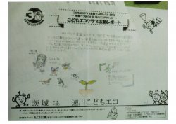 08-13.jpg