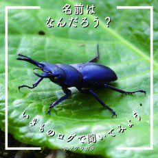 2026_sujikuwagata.jpg