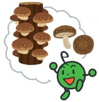shiitake.jpg