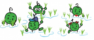 taue.png