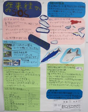 26-08-01.JPG