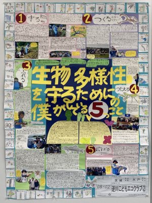 26-08-02.JPG