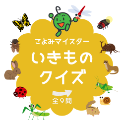 koyomiQ1.png