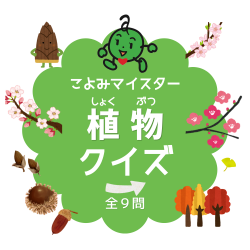koyomiQ2.png