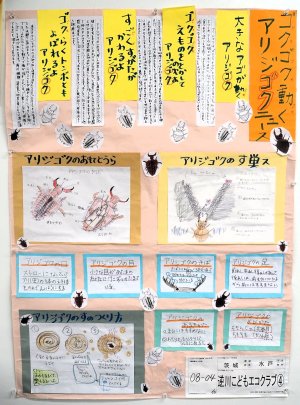 26-08-04.JPG
