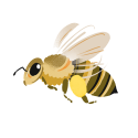 bee_02.png