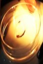 スクリーンショット 2026-08-12 154058.png