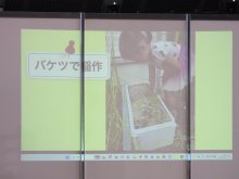 どろんこつながりたいの活動写真