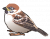 suzume2.png