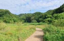 スクリーンショット 2026-10-22 102602.png