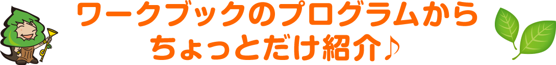 ワークブックのプログラムからちょっとだけ紹介