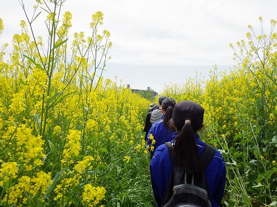 「桂川大山崎地区の活動を知ろう」に参加 