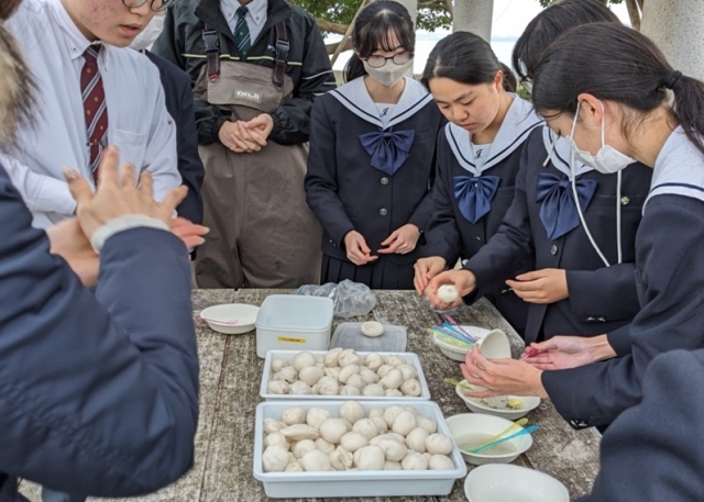 アマモ種子団子投げ