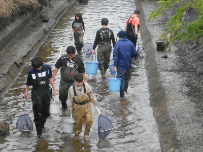 加古川水路の水抜きと草谷川調査