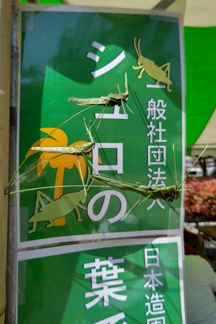 グリーンフェスタ2025