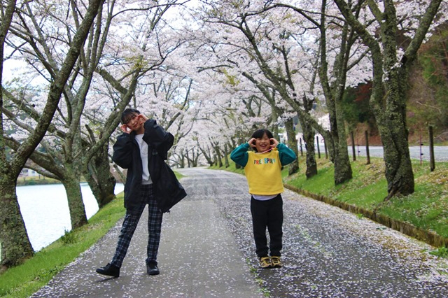 今年も桜が咲きました