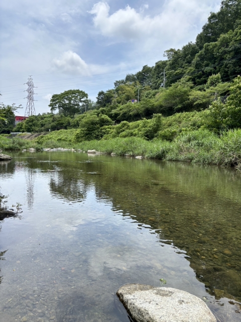 身近な水環境の全国一斉調査
