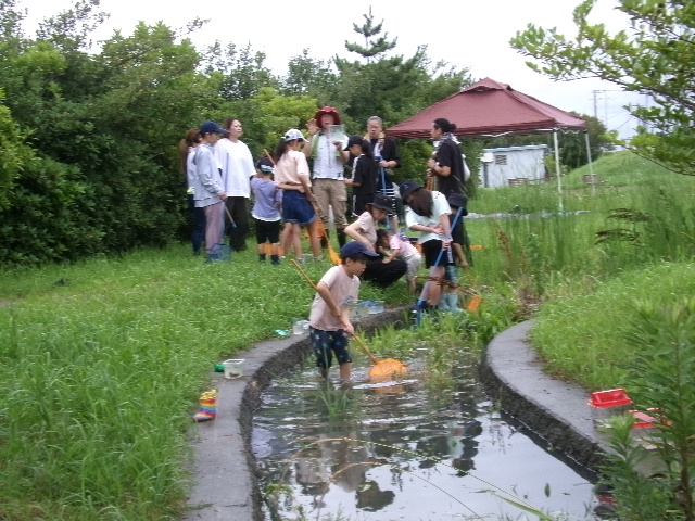 環境自然学習「メダカの産卵を観察しよう！」