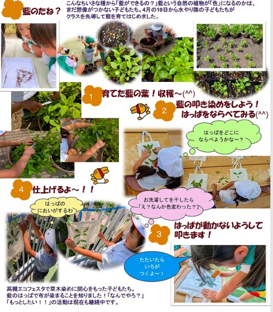藍を育ててみよう！